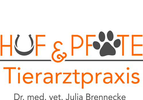Tierarztpraxis Julia Brennecke